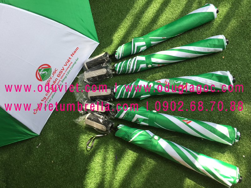 lựa chọn ô dù