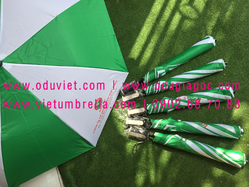 bảo quản ô dù